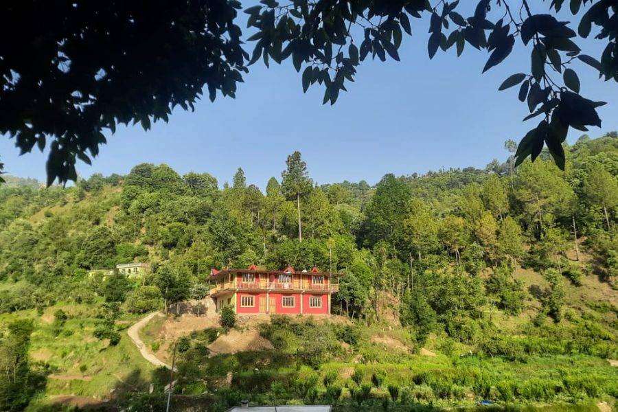 Jungle View Stay in Sunkiya