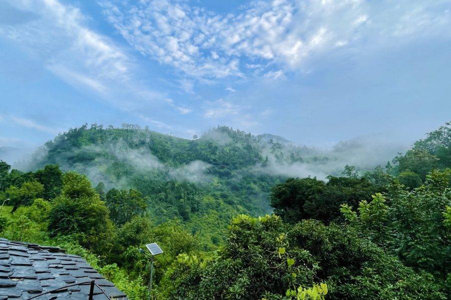 Jungle Homestay in Sheela Village