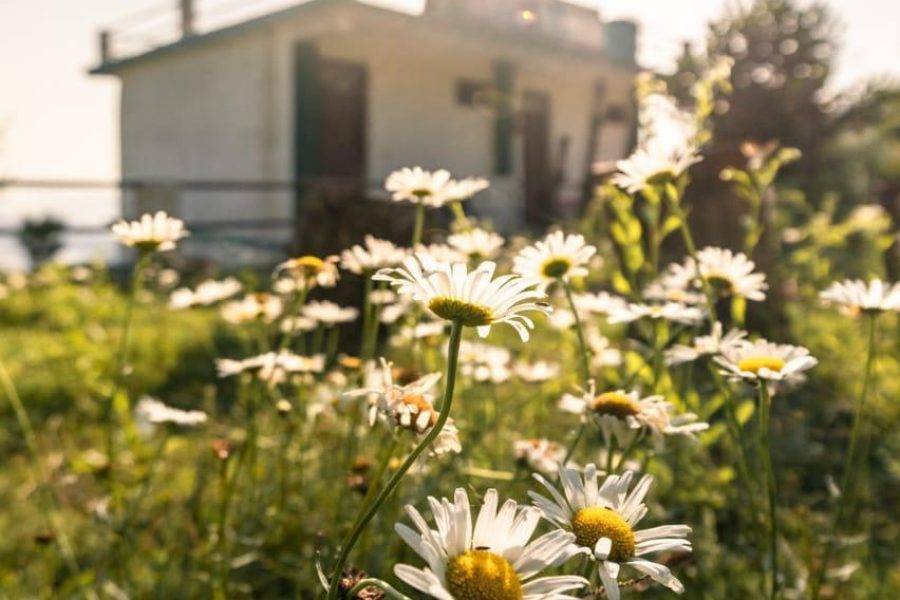 Valley View Stay Kausani