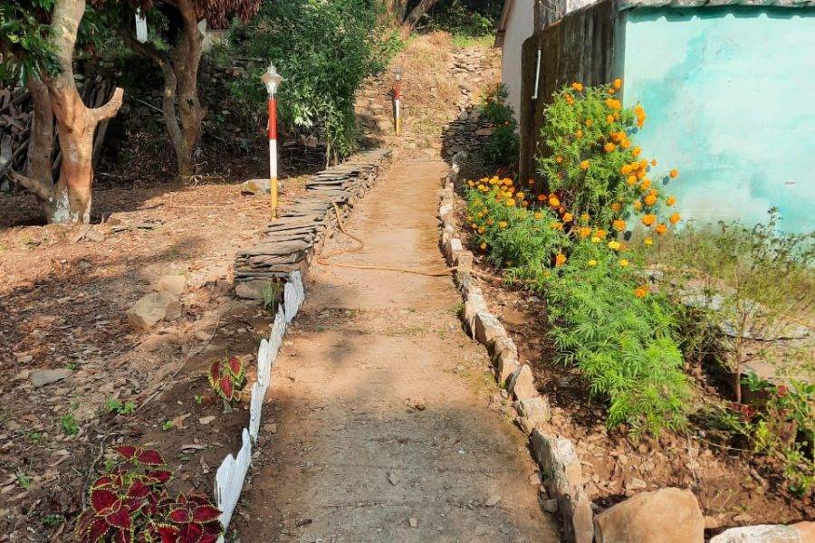 Jungle Stay in Marchula